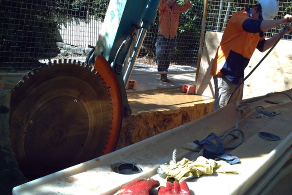 Echidna D2 cutting trenches.
